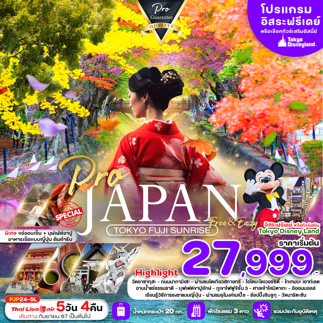 ทัวร์ญี่ปุ่น TOKYO FUJI SUNRISE FREE&EASY 5วัน 4คืน (SL)