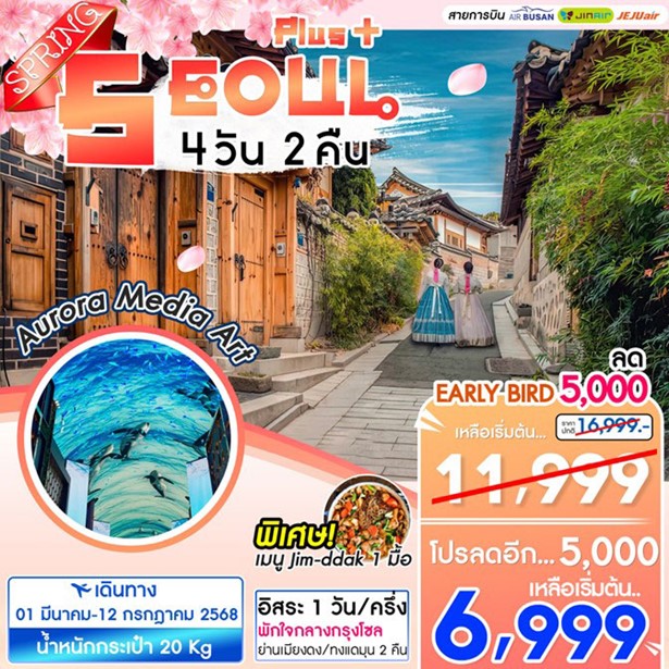 ทัวร์เกาหลี Seoul Plus Spring 4วัน 2คืน (ฺBX)